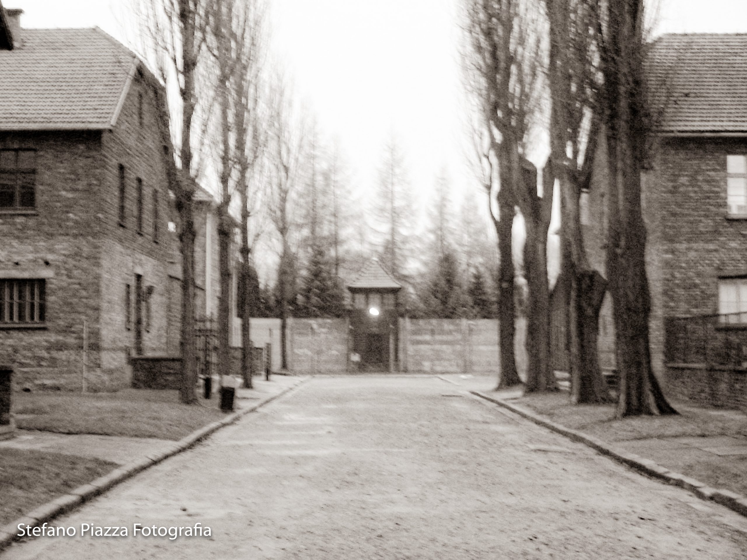 Auschwitz16